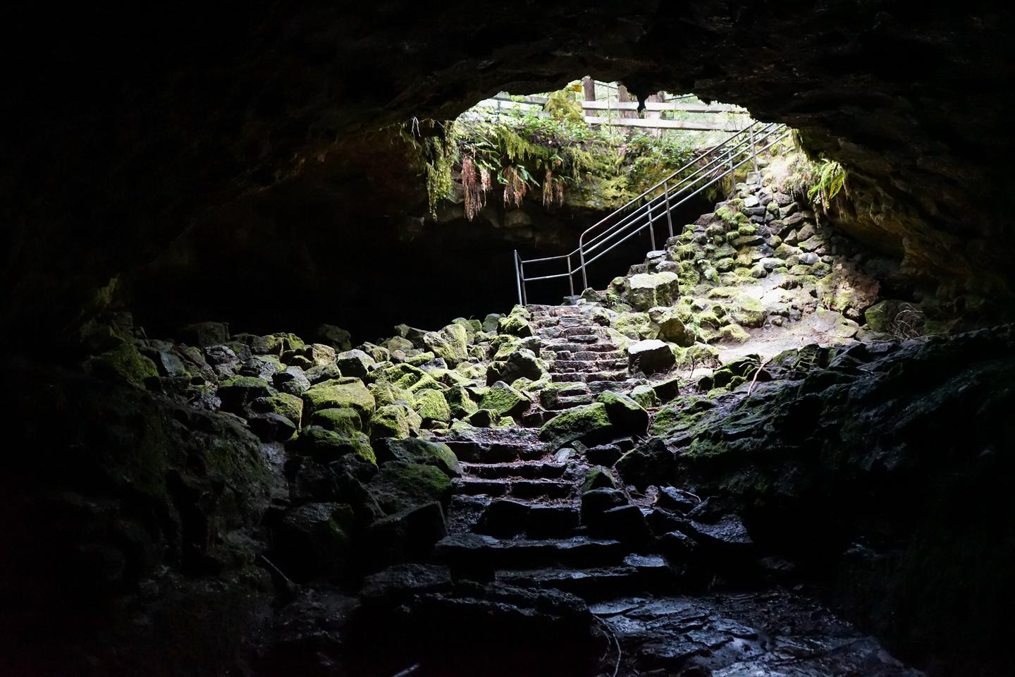 A picture of the staircase leading into Ape Cave at Mount St. Helens National Volcanic MonumentWhen visiting Ape Cave, the adventure begins by descending a stone and metal staircase into the darkness.