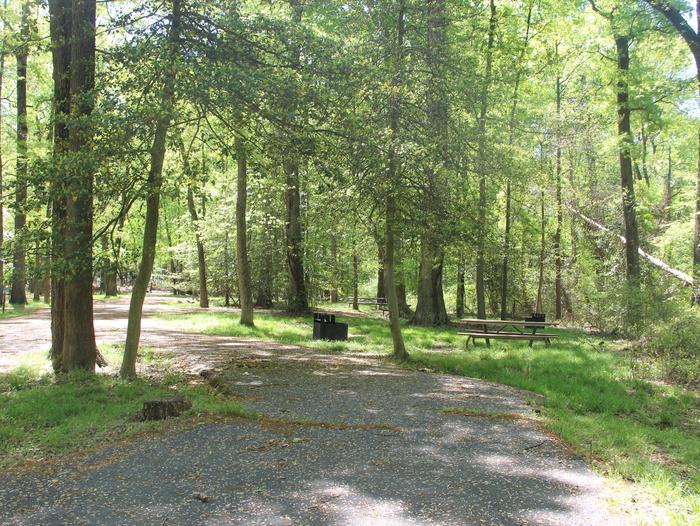 D153 D Loop of the Greenbelt Park Maryland campground