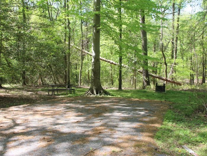 D 156  D Loop of the Greenbelt Park Maryland campground