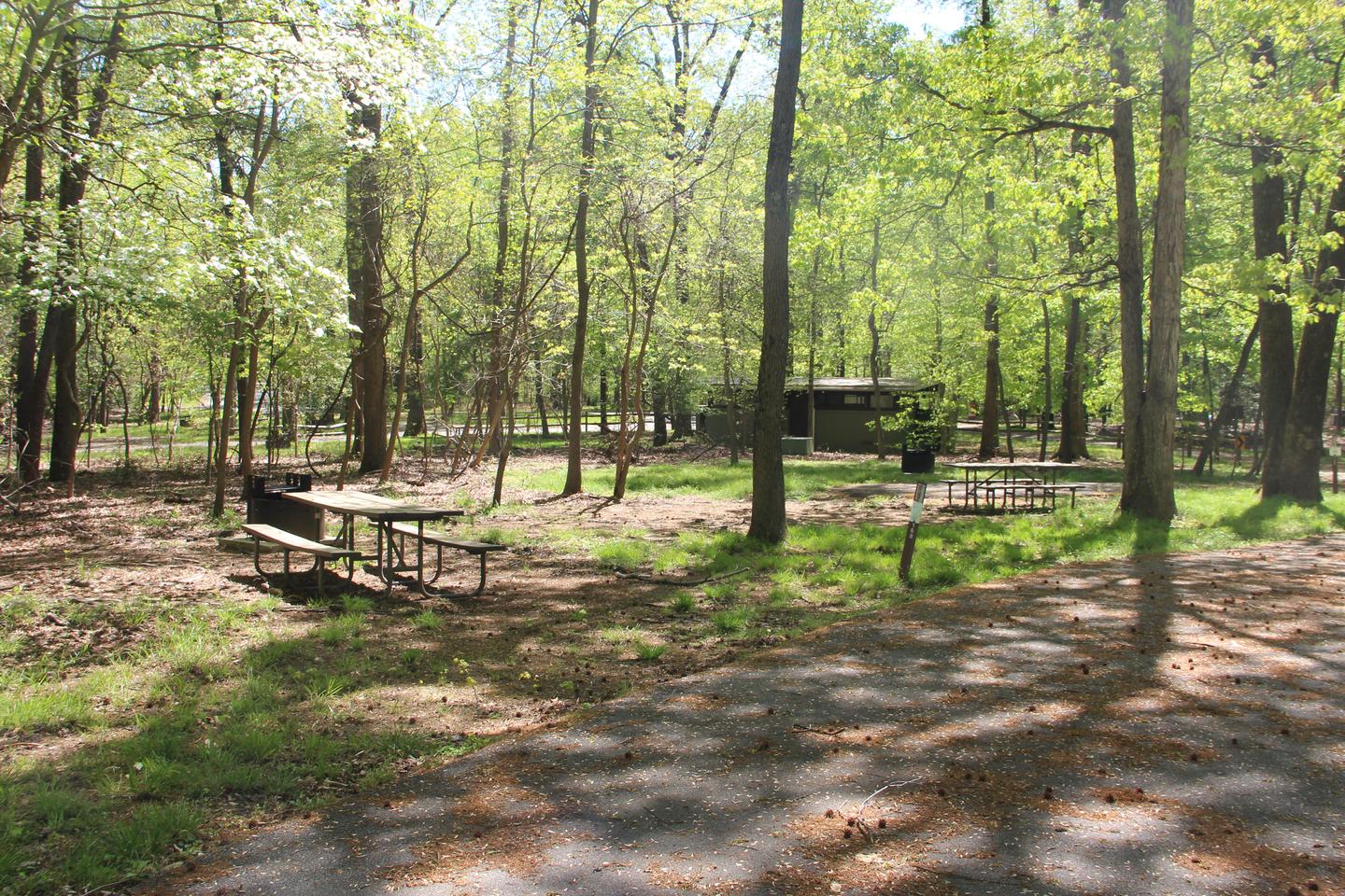 D 158 D Loop of the Greenbelt Park Maryland campground