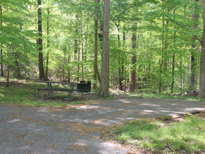 D 160 D Loop of the Greenbelt Park Maryland campground