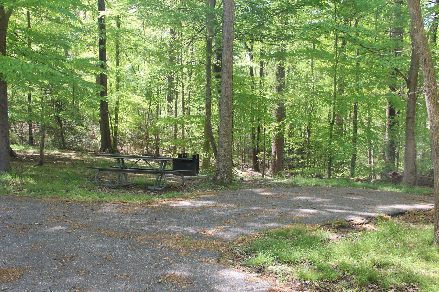 D 160 D Loop of the Greenbelt Park Md campgroundD 160 D Loop of the Greenbelt Park Maryland campground (Former Site 162)