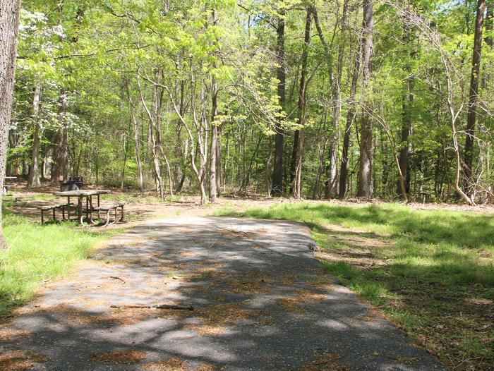 D 161 D Loop of the Greenbelt Park Maryland campground