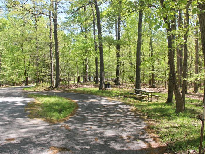 D 163 D Loop of the Greenbelt Park Maryland campground (Former Site 173)