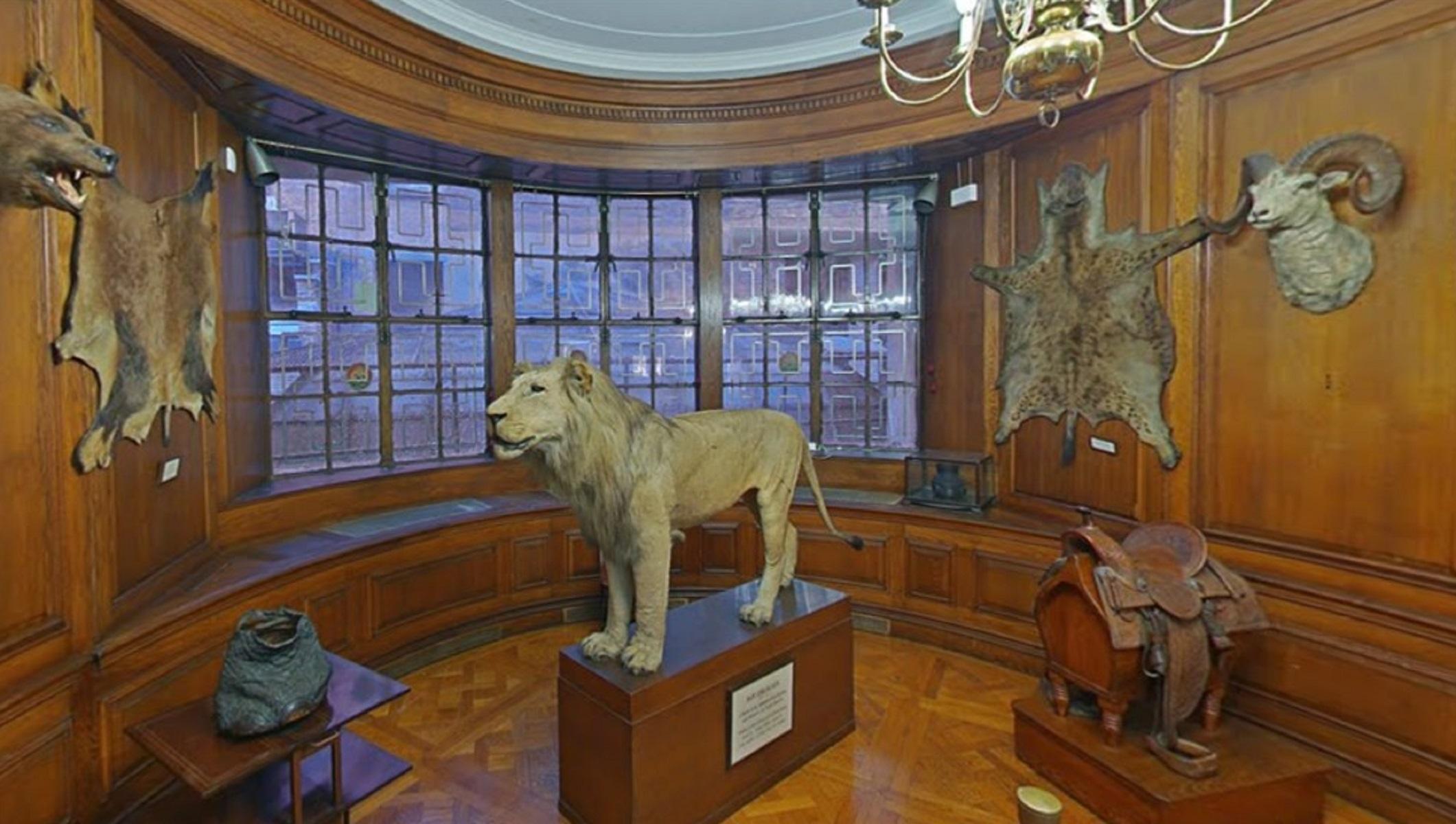 Lion's Room