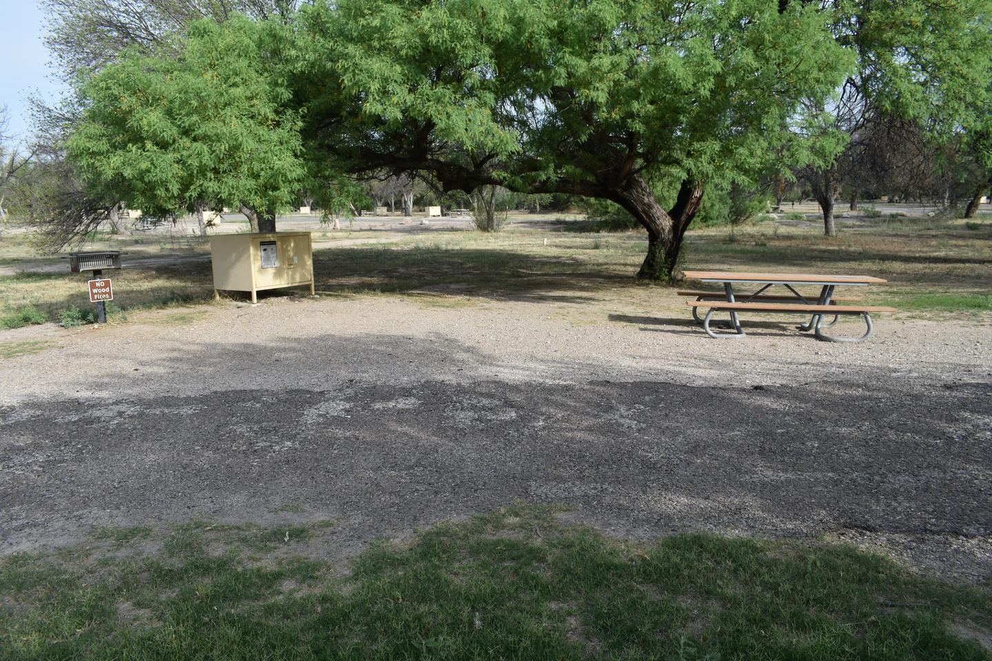 Shade over bear box and picnic tableSome natural shade at this flat site. 