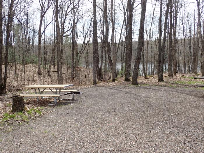 Site 8Picnic table and fire ring for Site 8