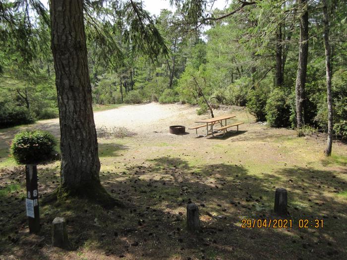 Eel Creek Campground Site #7/8 pic3Eel Creek Campground Site #7/8 (site #8 side)