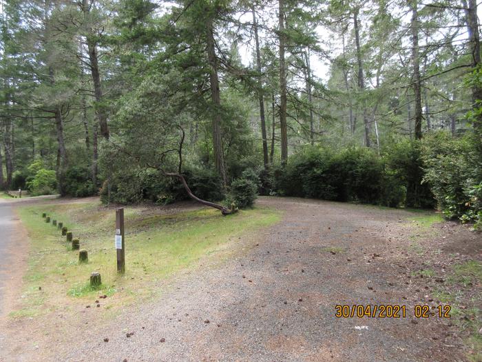 Eel Creek Campground Site #19
