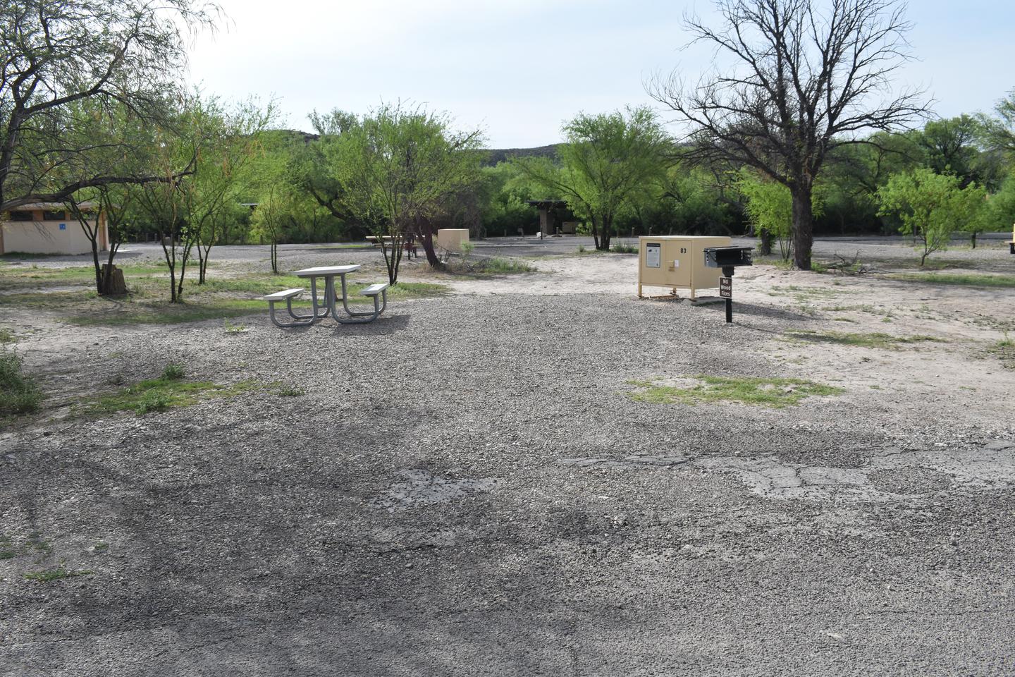 Rio Grande Village Site #83Overview from paved road of flat campsite with picnic table, bear box and fire grill.