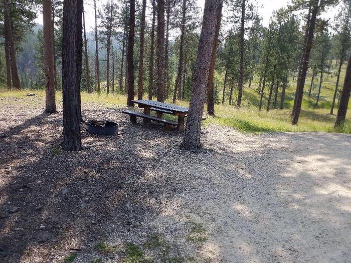picnic table and fire ringDutchman - site 16