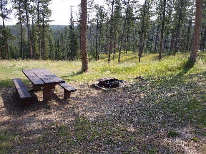 picnic table and fire ringDutchman - site 18