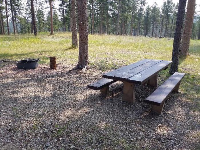 picnic table and fire ringDutchman - site 29