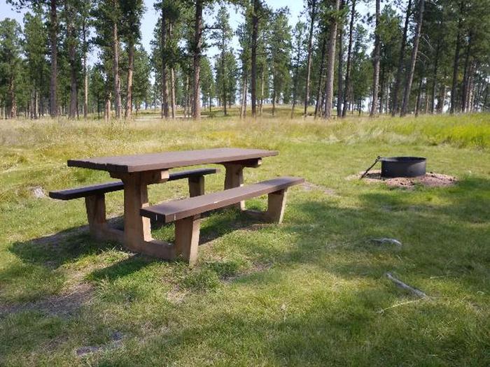 picnic table and fire ringDutchman - site 33