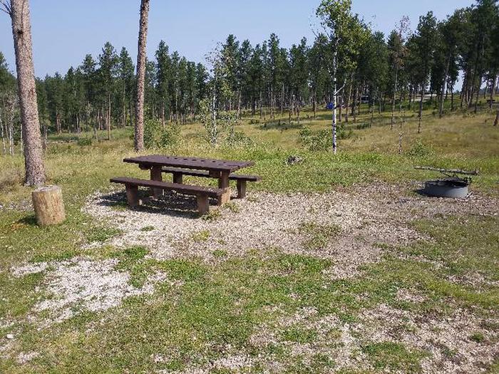 picnic table and fire ringDutchman - site 35
