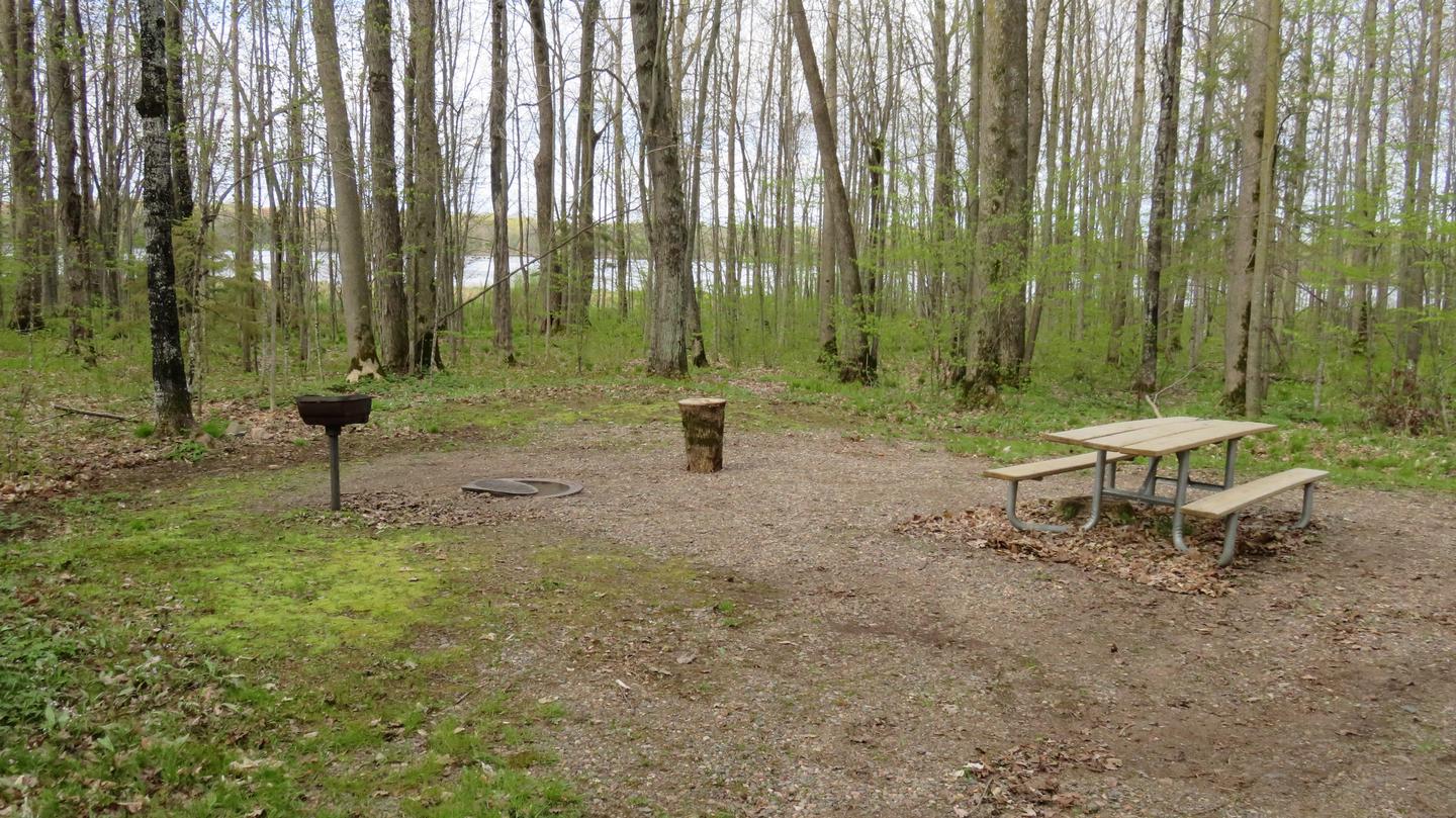 Site P37Picnic table, fire ring, and grill for Site P37