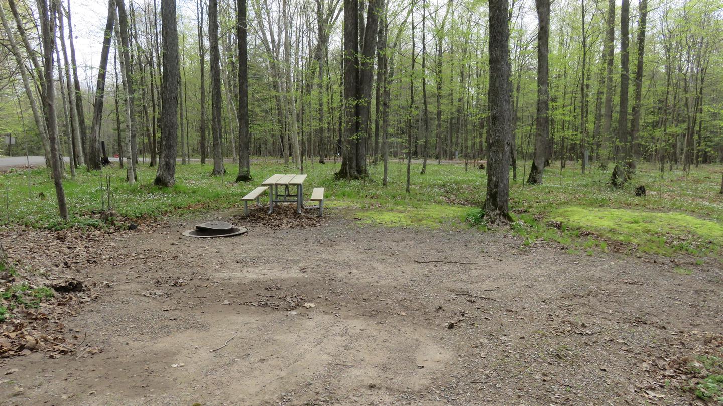 Site S33Picnic table and fire ring for Site S33