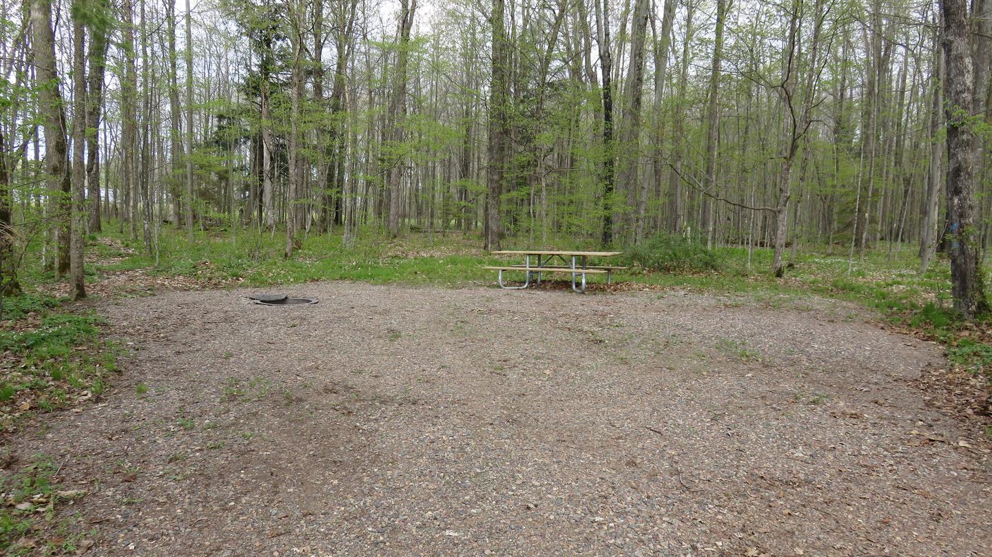 Site S35Picnic table and fire ring for Site S35