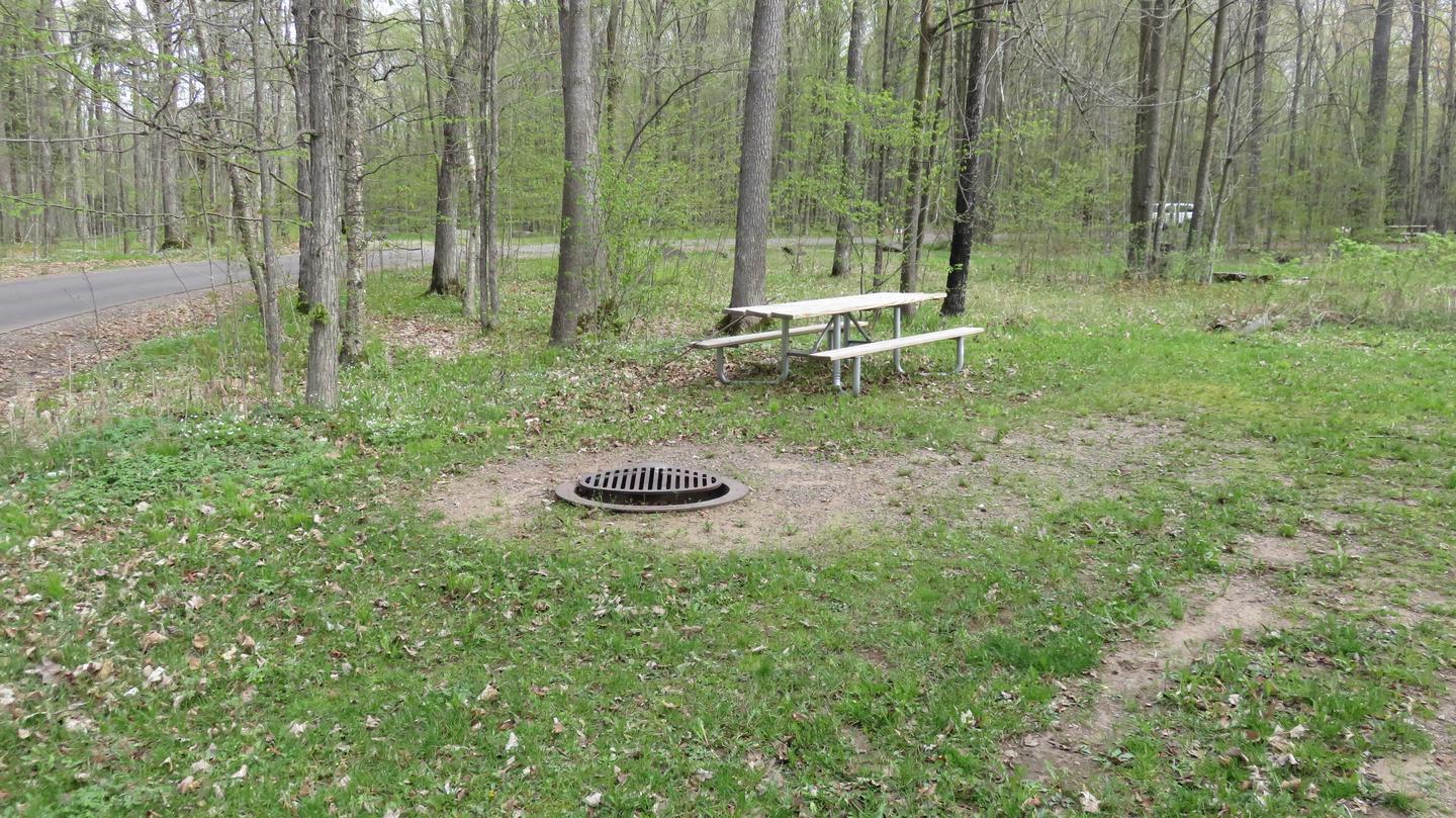 S36Picnic table and fire ring for Site S36