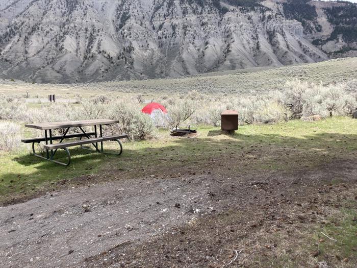 Mammoth Hot Springs Campground Site 29.Mammoth Hot Springs Campground Site 29