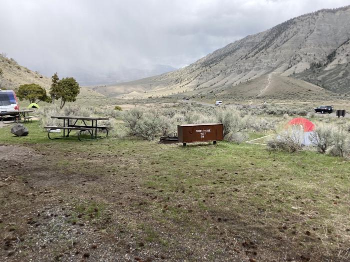 Mammoth Hot Springs Campground Site 29...Mammoth Hot Springs Campground Site 29