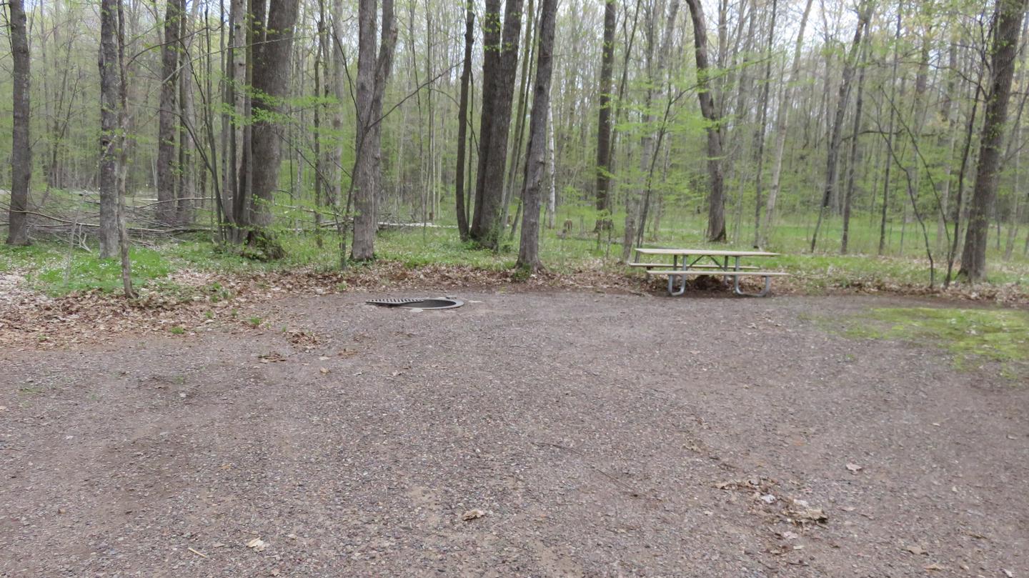 S40Picnic table and fire ring for Site S40