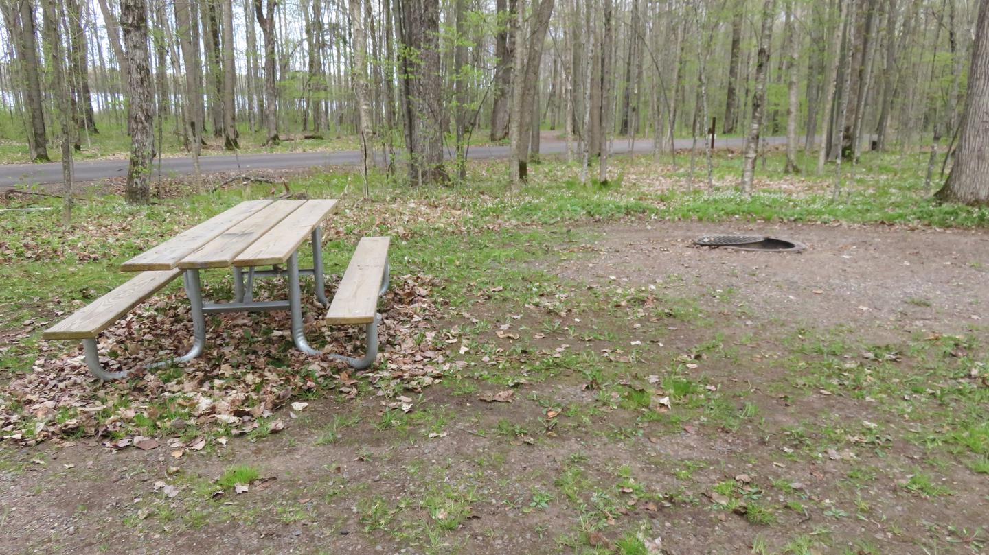 Site S41Picnic table and fire ring for Site S41