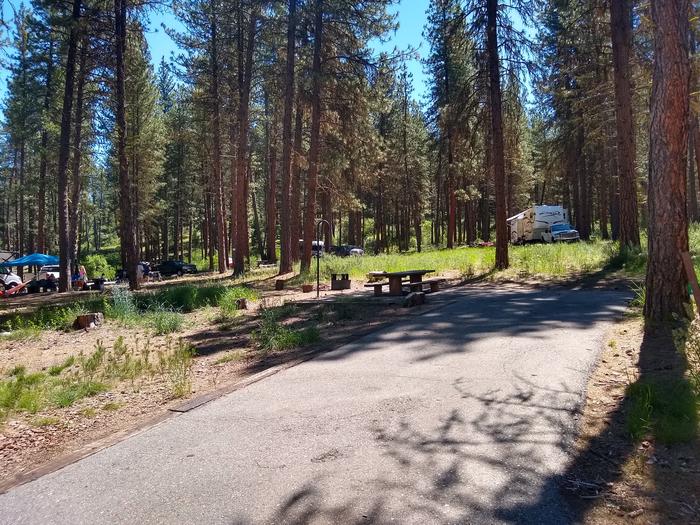A paved driveway to a campsite.Grayback Gulch Site 17.