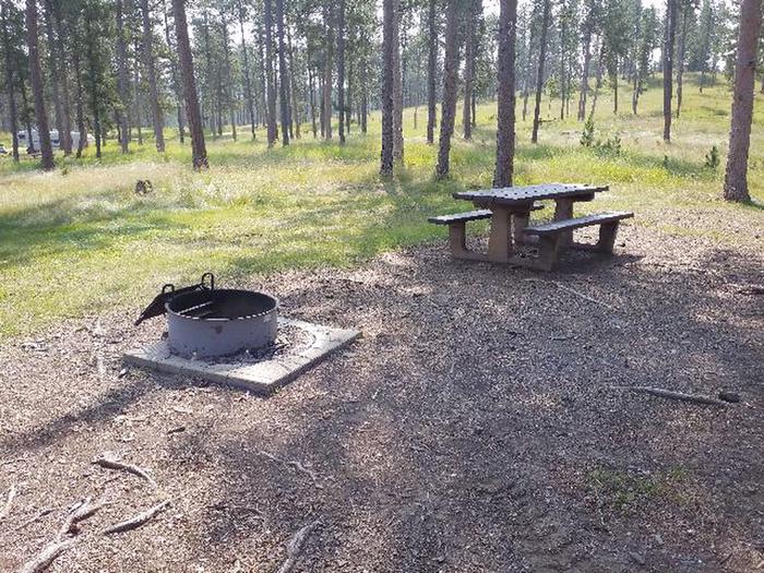 picnic table and fire pitDutchman - site 38
