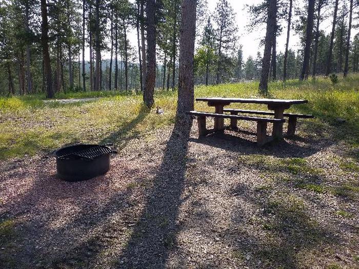 picnic table and fire ringDutchman - site 44