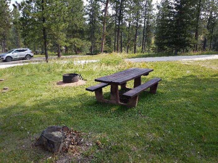 picnic table and fire ringWhitetail - site 9