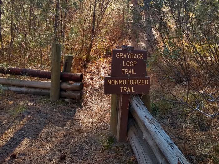 A sign reading "Grayback Loop Trail / Nonmotorized Trail" surrounded by shrubs.A loop trail terminating at Grayback Group begins near the entrance to the regular camping area.  A network of paths wind through the forest beyond this point.
