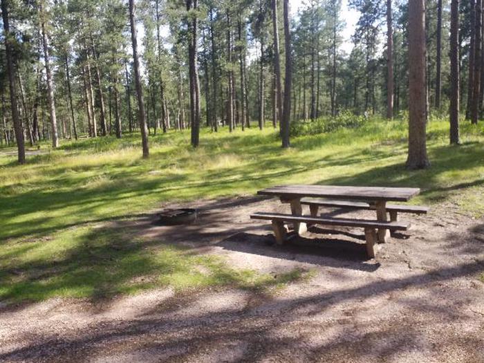 picnic table and fire ringSmokey site 12