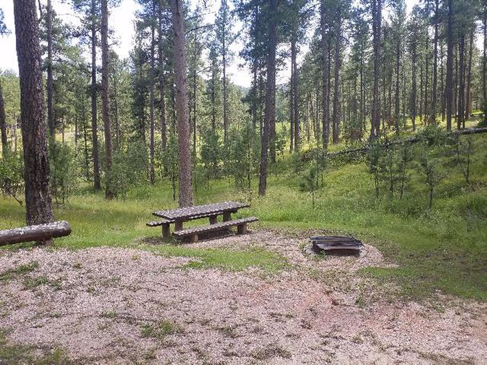 picnic table and fire ringSmokey site 14