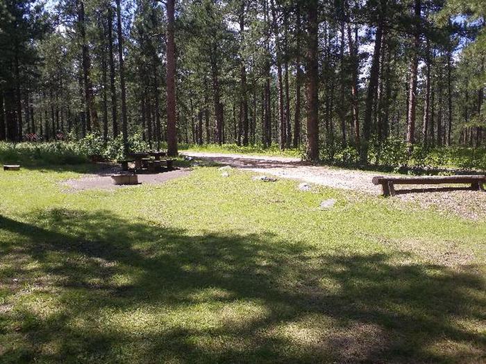 picnic table and fire ringSMOKEY SITE 20