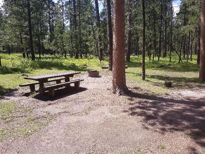 picnic table and fire ringSMOKEY SITE 22