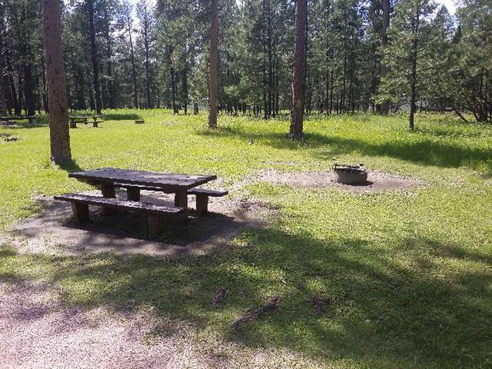 PICNIC TABLE AND FIRE RINGSMOKEY SITE 24