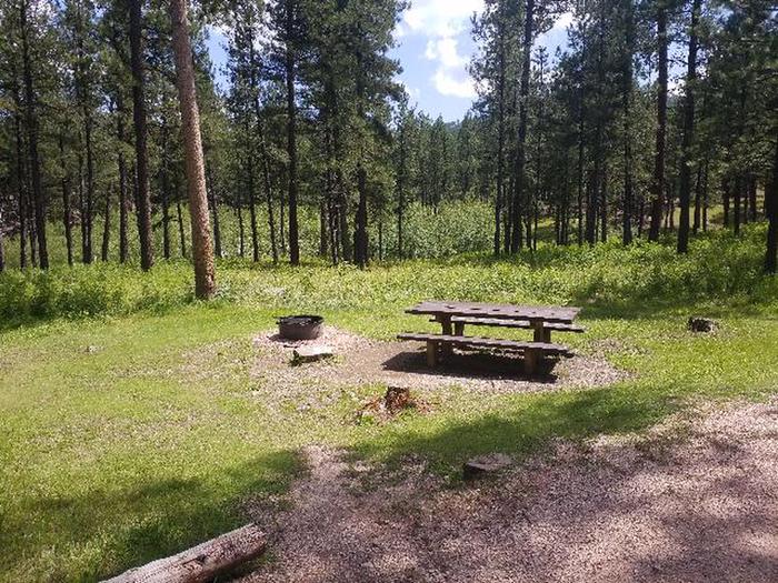 PICNIC TABLE AND FIRE RINGSMOKEY SITE 25