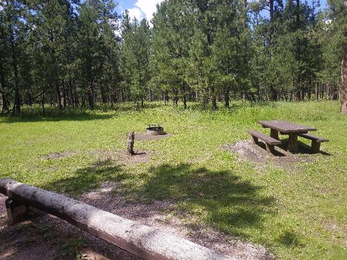 PICNIC TABLE AND FIRE RINGSMOKEY SITE 26