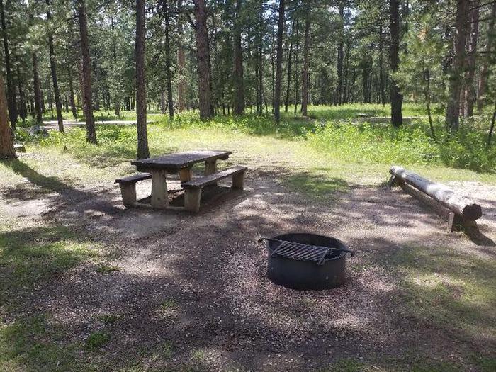 PICNIC TABLE AND FIRE RINGSMOKEY SITE 27