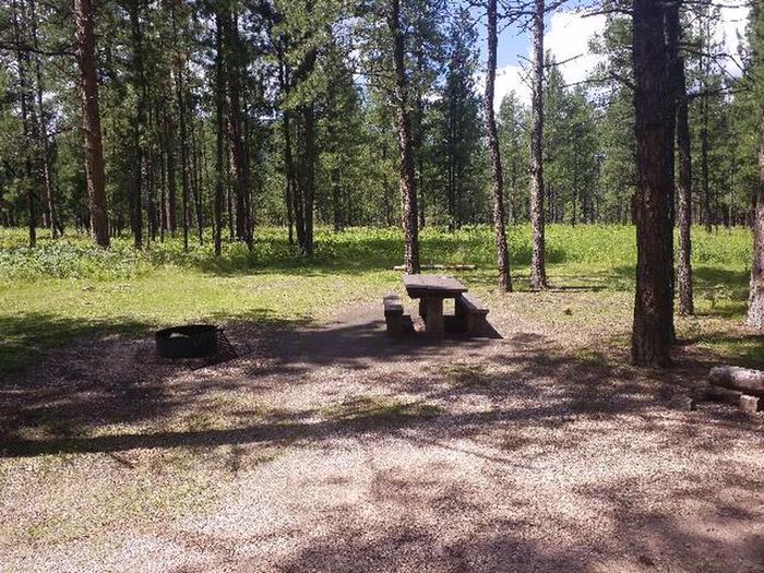 PICNIC TABLE AND FIRE RINGSMOKEY SITE 28