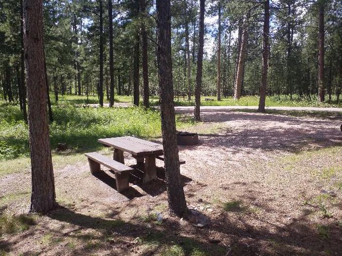 PICNIC TABLE AND FIRE RINGSMOKEY SITE 29