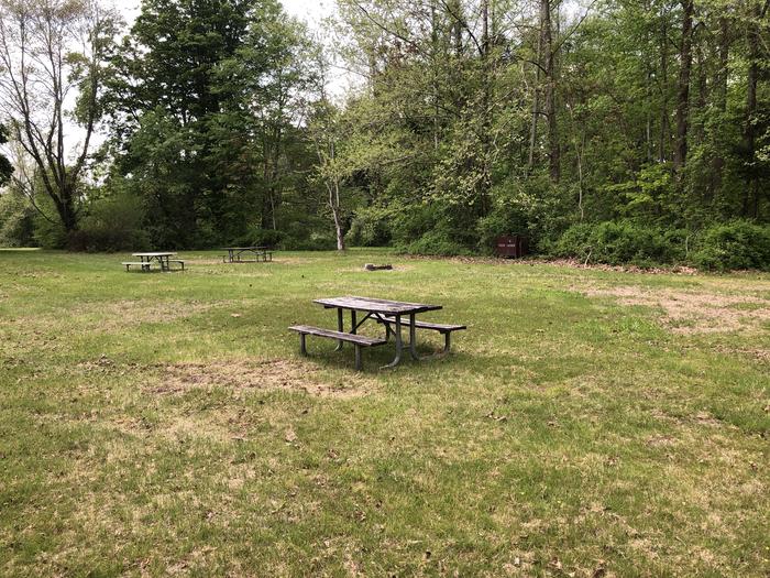 Picnic tables, fire ring, bear proof containers for site #4