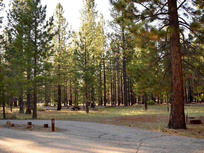 Escape to Christie Campground: Your Northern California Adventure Awaits!