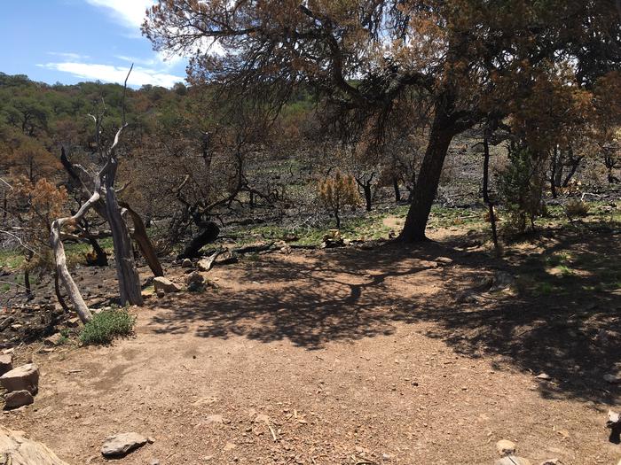 South Rim 4 siteCampsite was affected by the 2021 South Rim Fire. Burned vegetation and areas surround the site. 