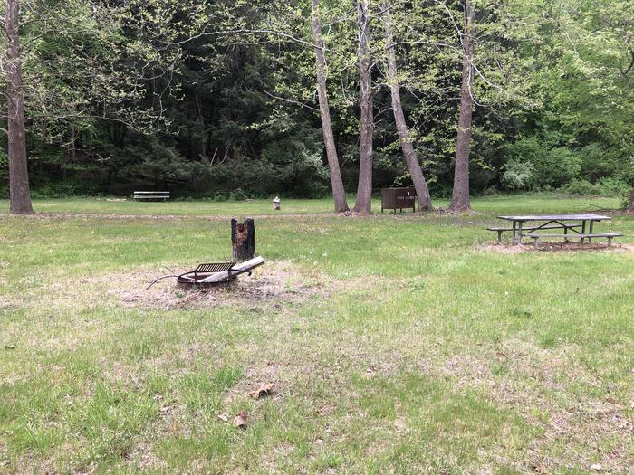 Fire ring, picnic tables, and bear proof containers for campsite #1.