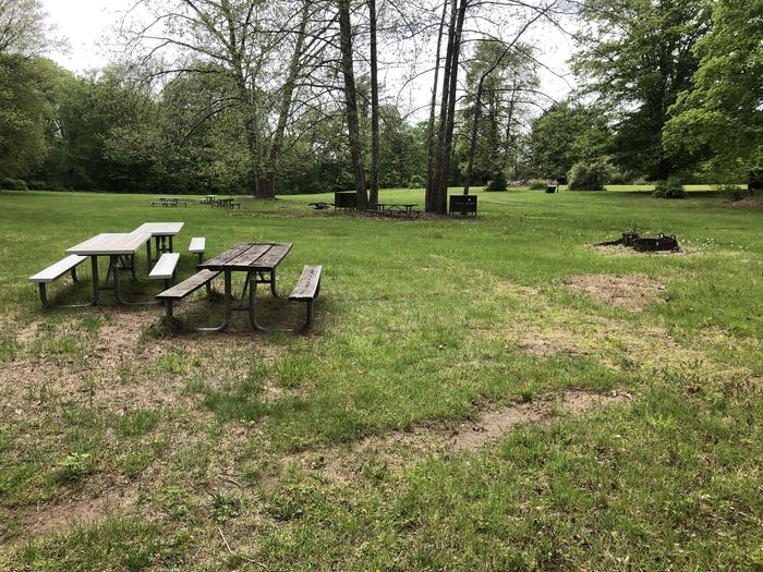 Picnic tables, fire ring, and bear proof containers for campsite 2.