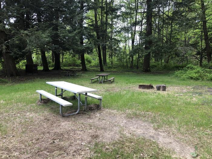 Picnic tables, fire ring, and bear proof container for campsite #5