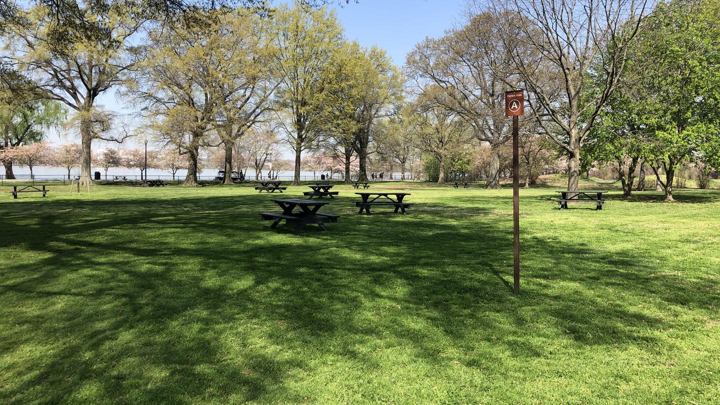 The photo shows scattered picnic benches in Picnic Area AHains Point Picnic Area