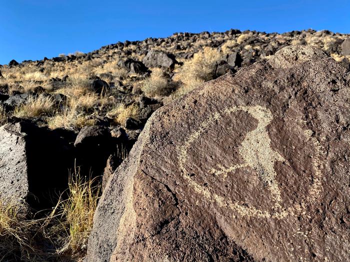 Bird PetroglyphA petroglyph of a bird at Rinconada Canyon.